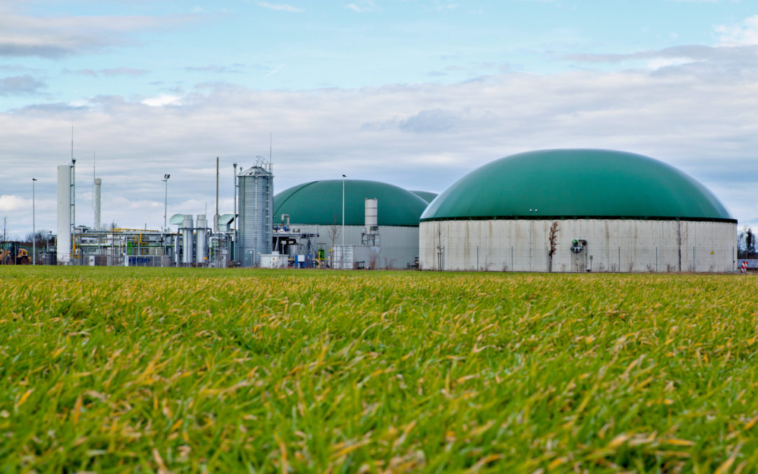 Green Manufacturing